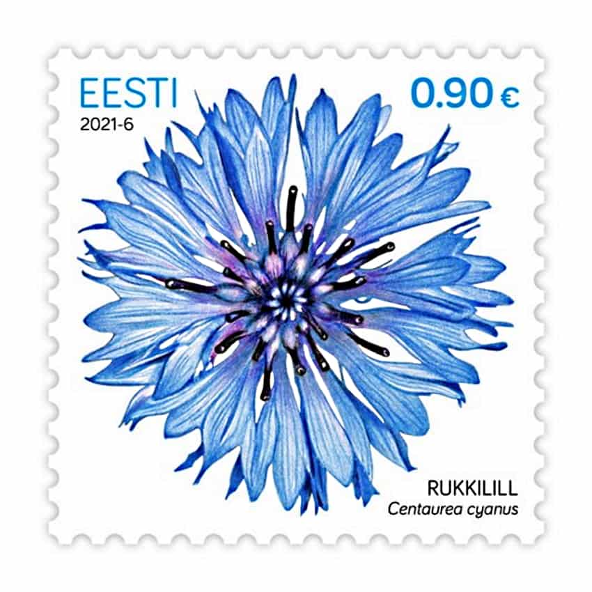 Estonia 2021. Cornflower (MNH) - MICHEL 1008