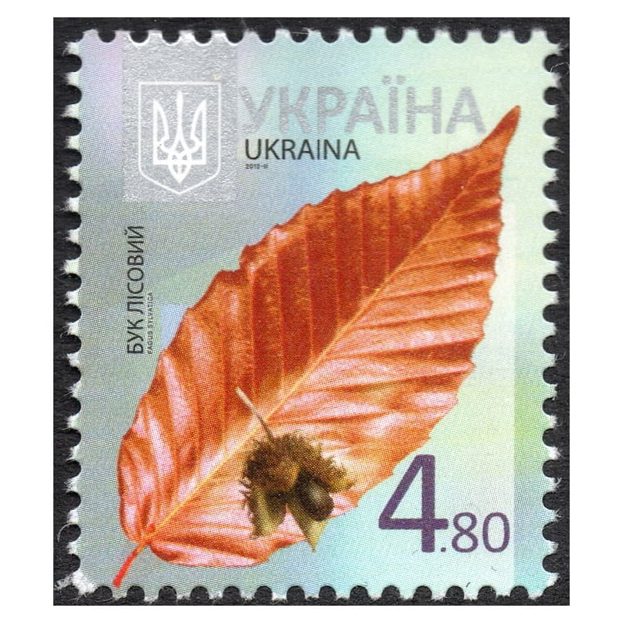 Ucrânia 2013 [SLL] 4,80 UAH. Folhas. Fagus sylvatica (MNH)