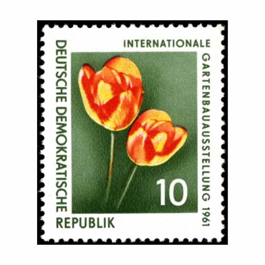 DDR 1961. Exposición floral de Erfurt, 10 Pf (MNH) - MI 854