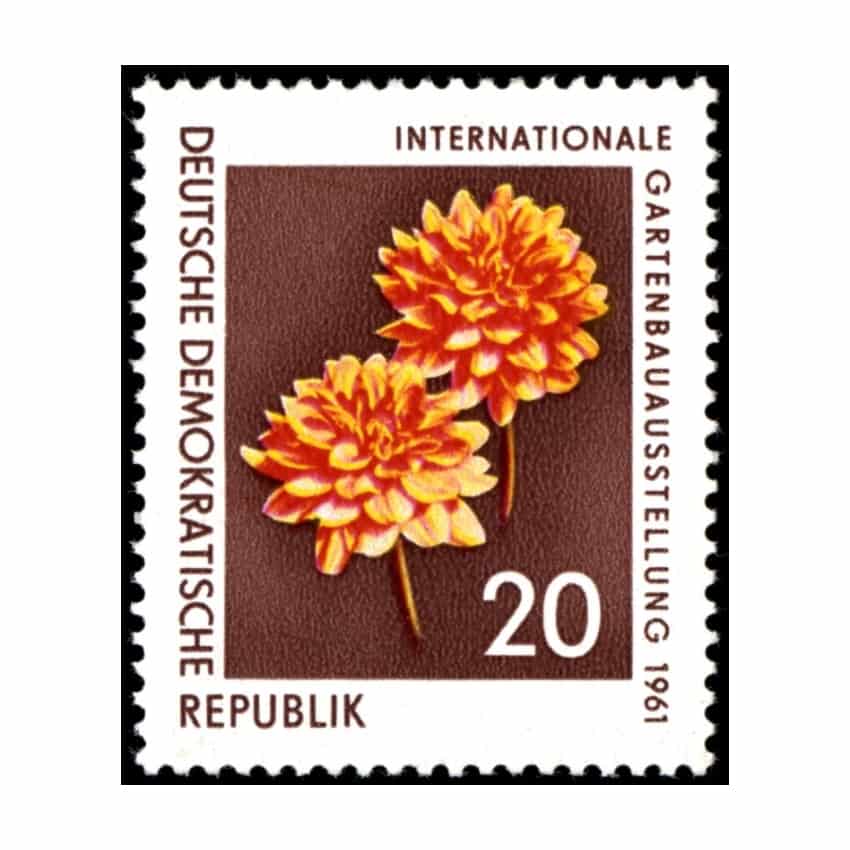 DDR1961. Exposición floral de Erfurt, 20 Pf (MNH) - MI 855